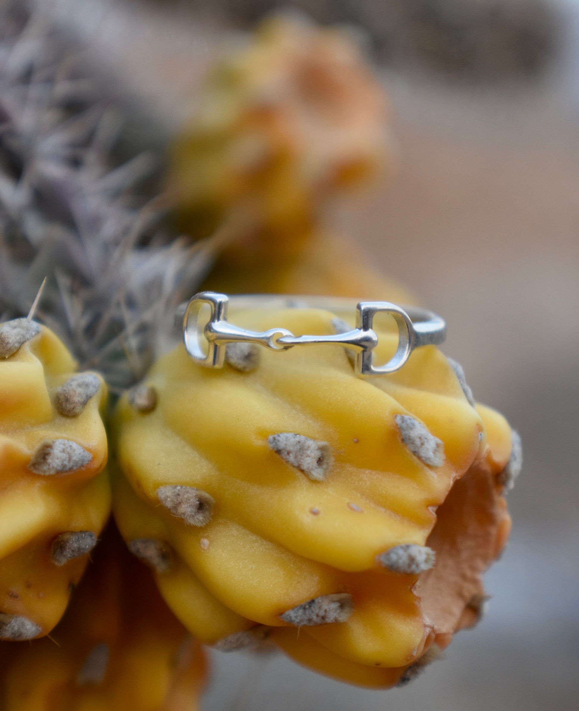 Close up of the sterling silver horse bit ring on a yellow cactus