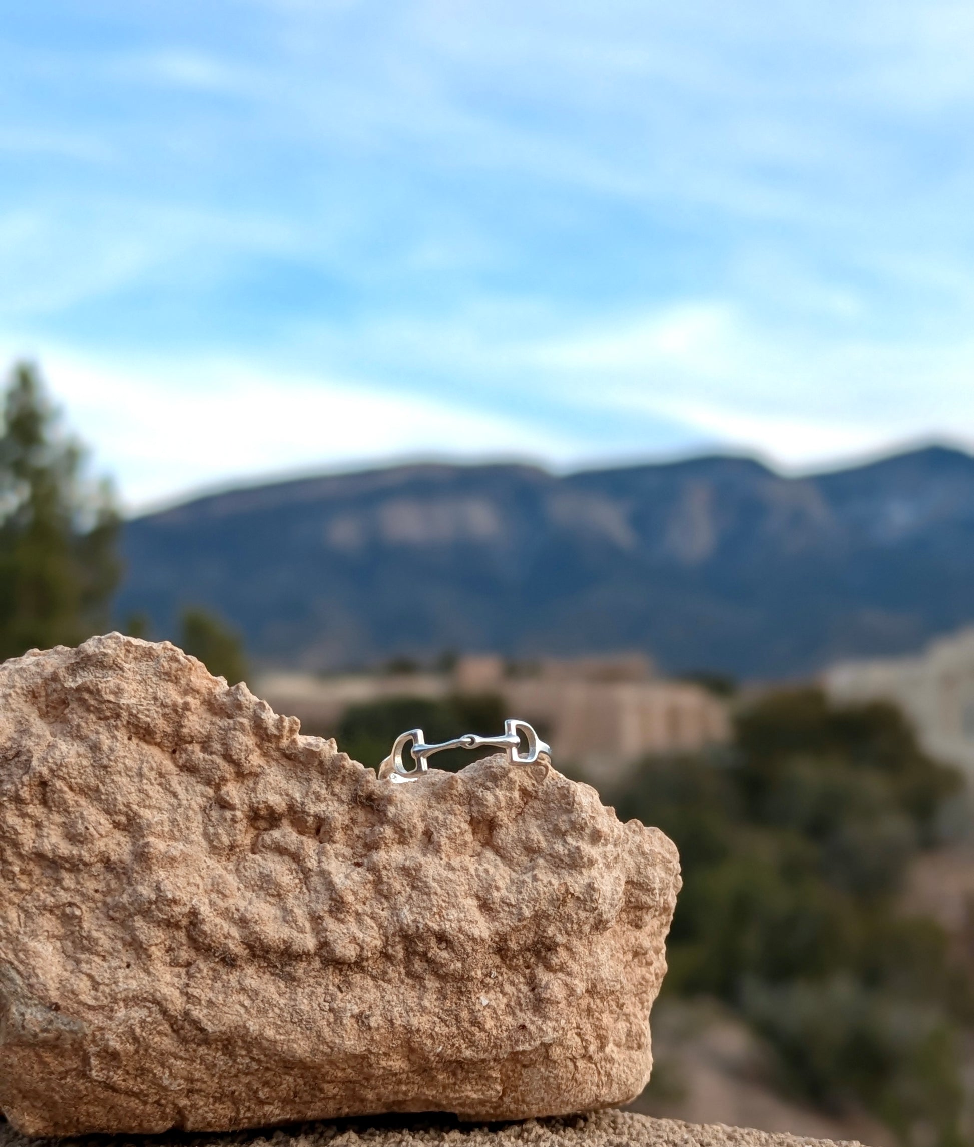 Sterling silver horse bit ring on a rock, with mountains in the background.