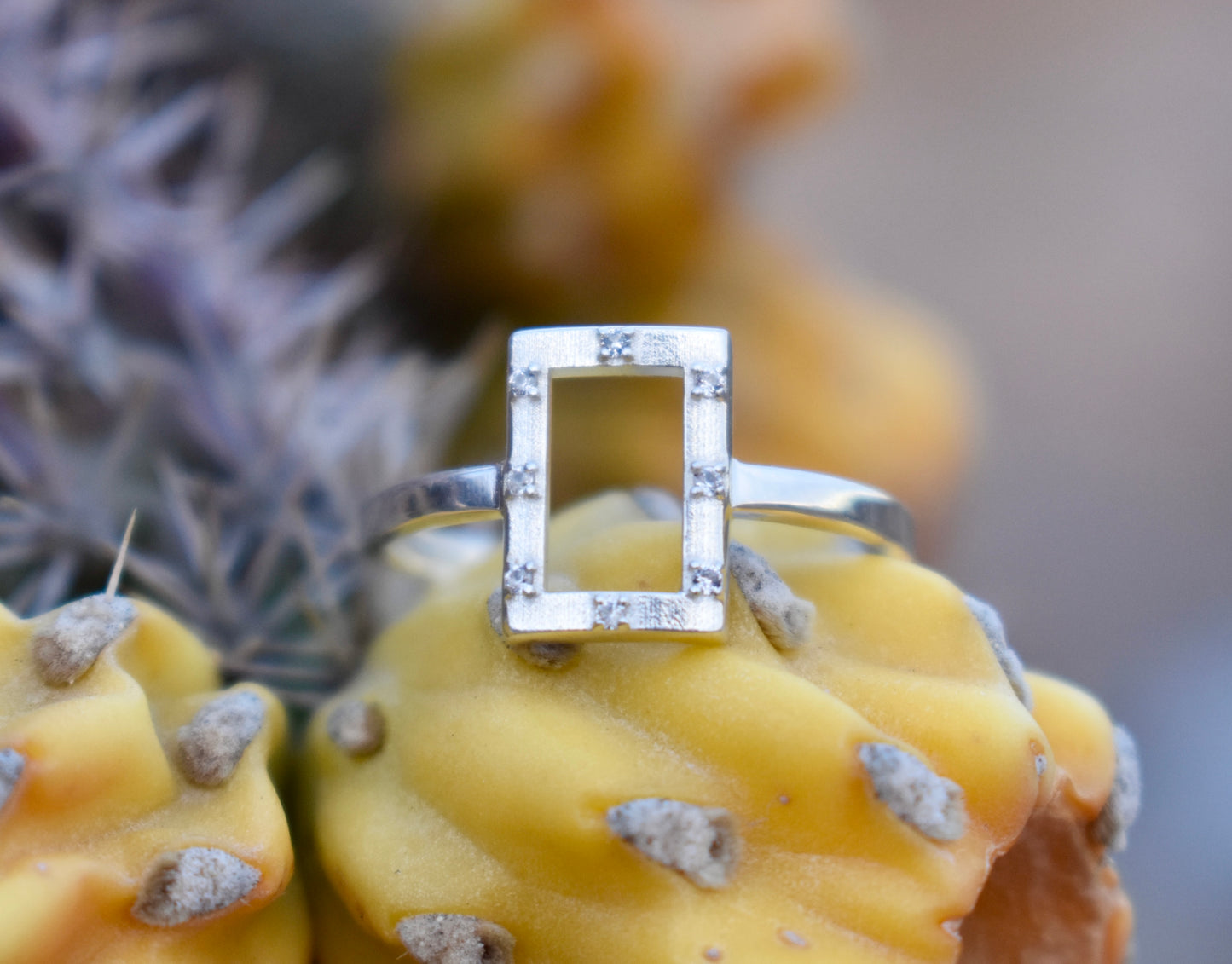 Close up photo of Saddle and Stone's sterling silver dressage ring on a yellow cactus.