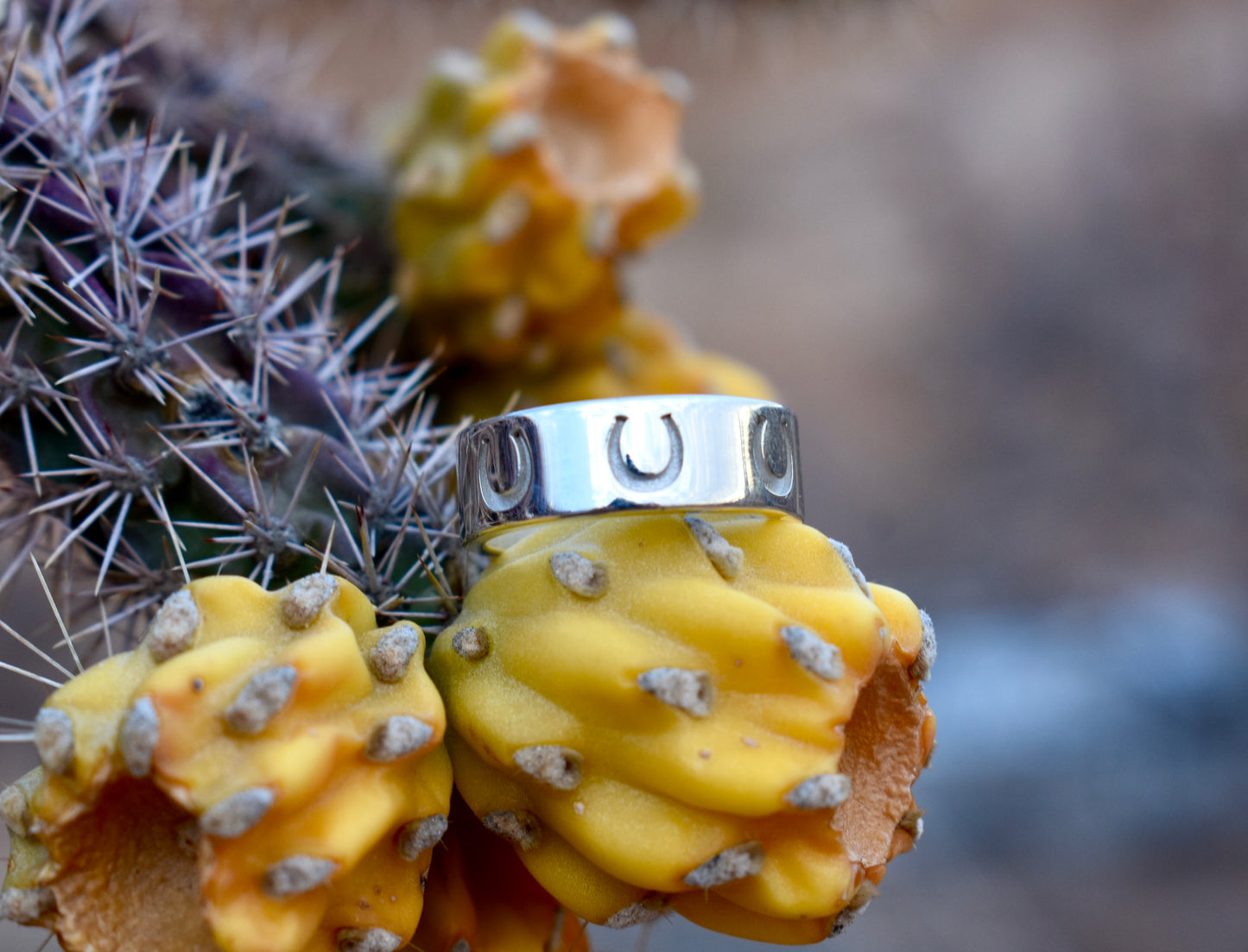 Photo of Saddle and stone's sterling silver stamped horseshoe ring on a yellow cactus