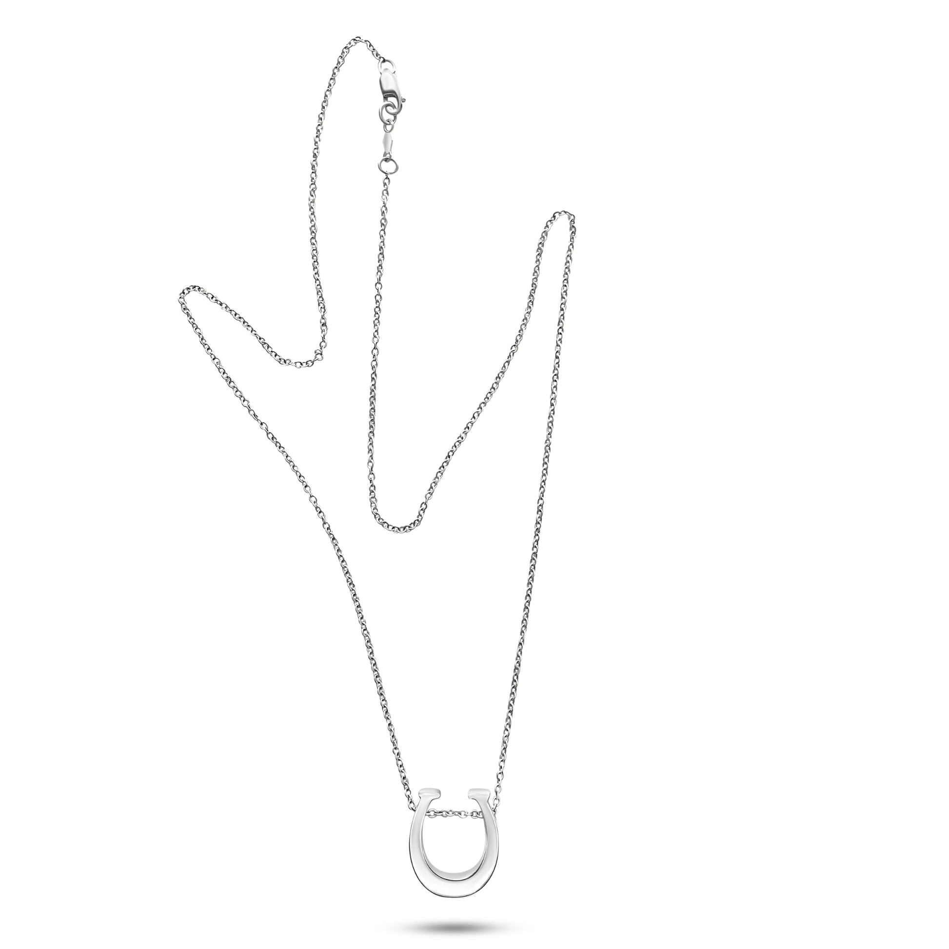 The Horseshoe Pendant - 3D heavy horseshoe with the chain running through the middle. Meant to symbolize luck and second chances.