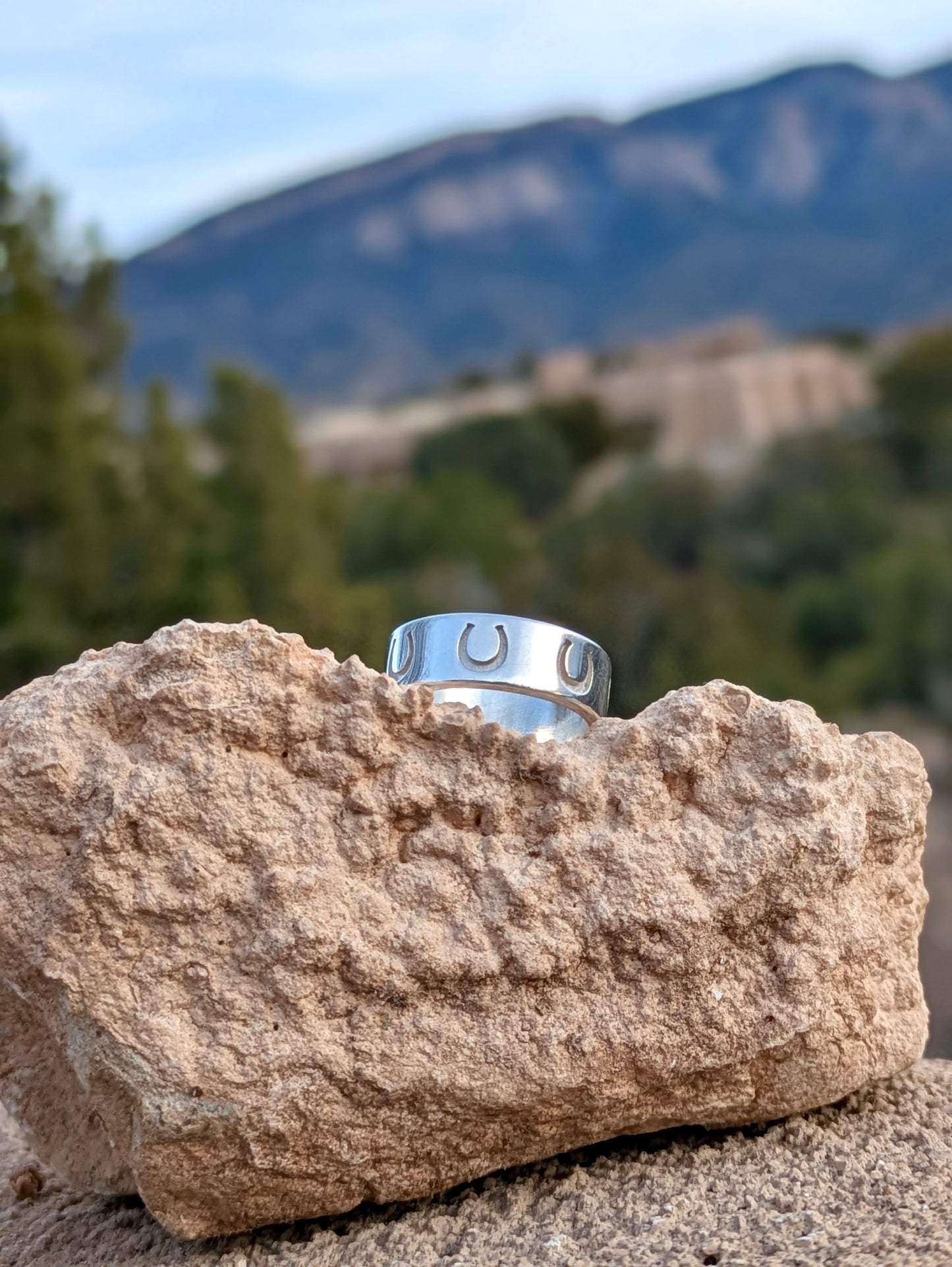 Photo of horseshoe ring on sandstone rock with New Mexico mountains in the background