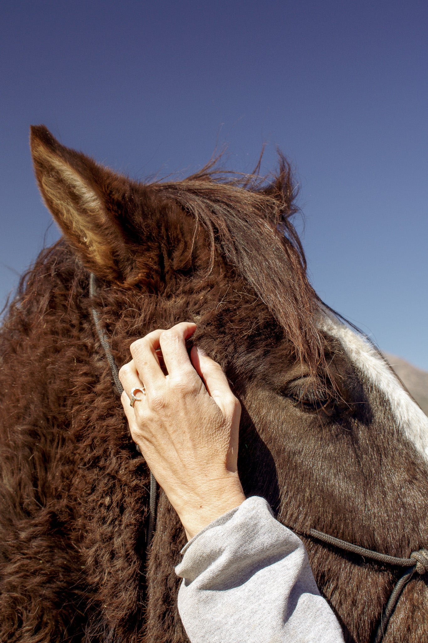 Model scratching Indiana (horse) under the ears while modeling the horse shoe ring
