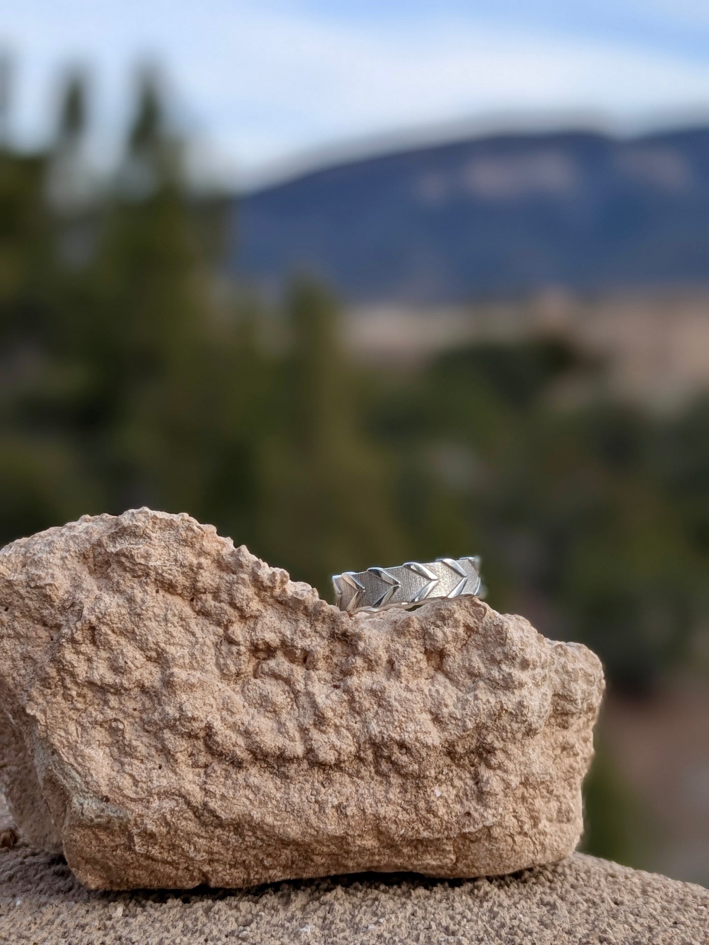 Sterling silver reigns ring on a beige rock with New Mexico mountains behind