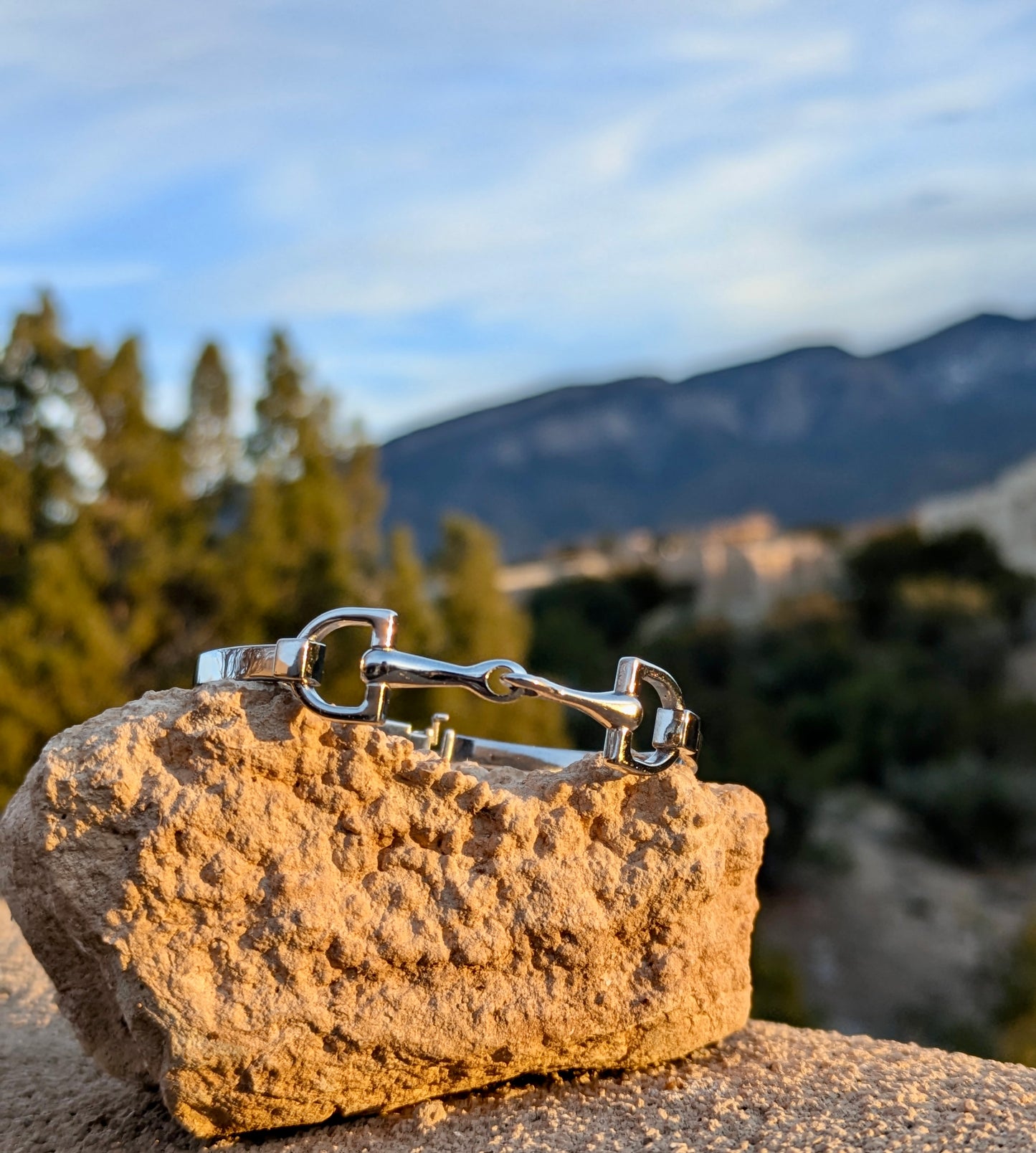 Stainless steel bit cuff from Saddle & Stone on a sandstone rock with mountains in the background