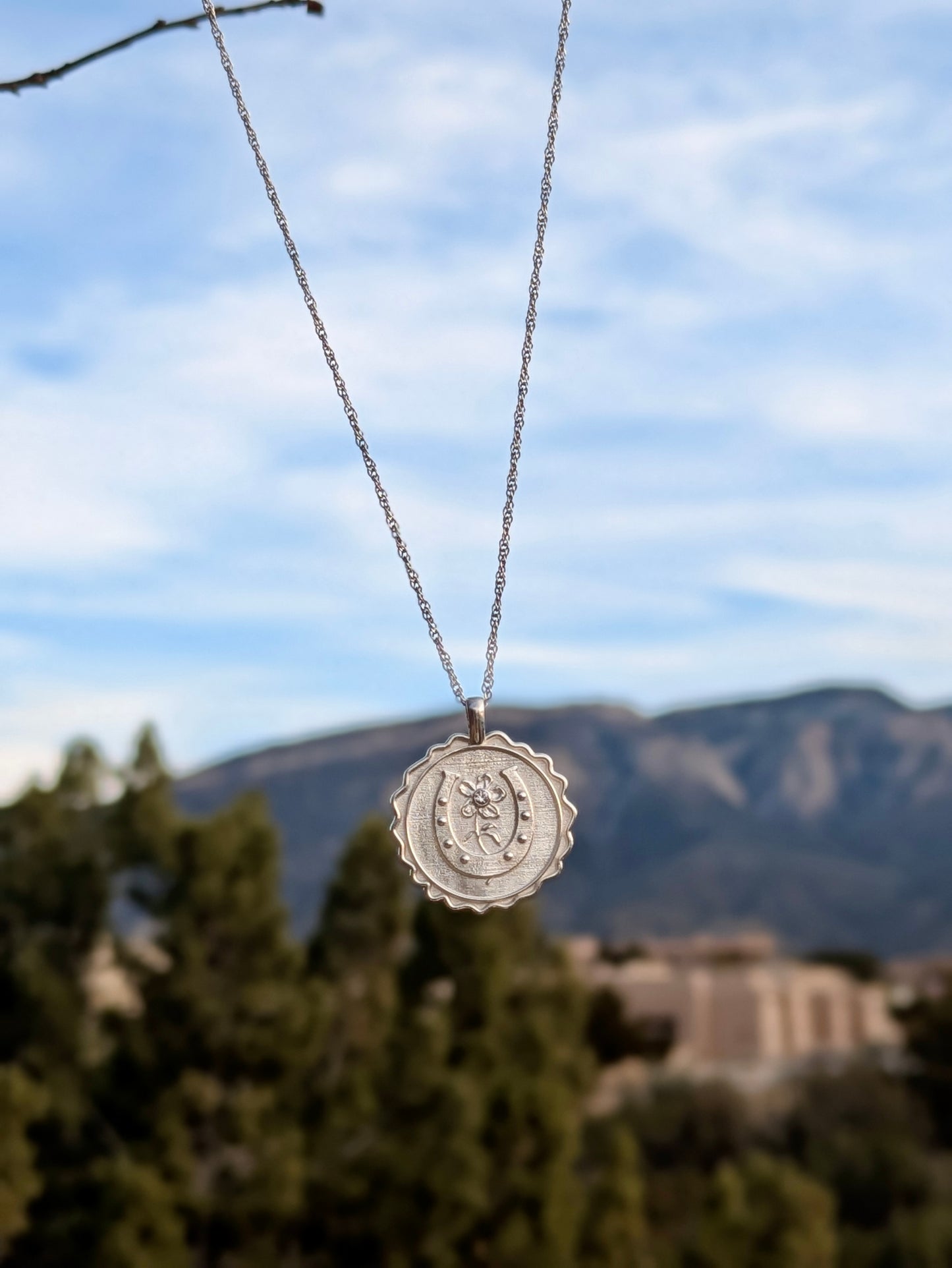 Good Luck Amulet in sterling silver with white sapphire hanging from a branch with the new mexico mountains in the background