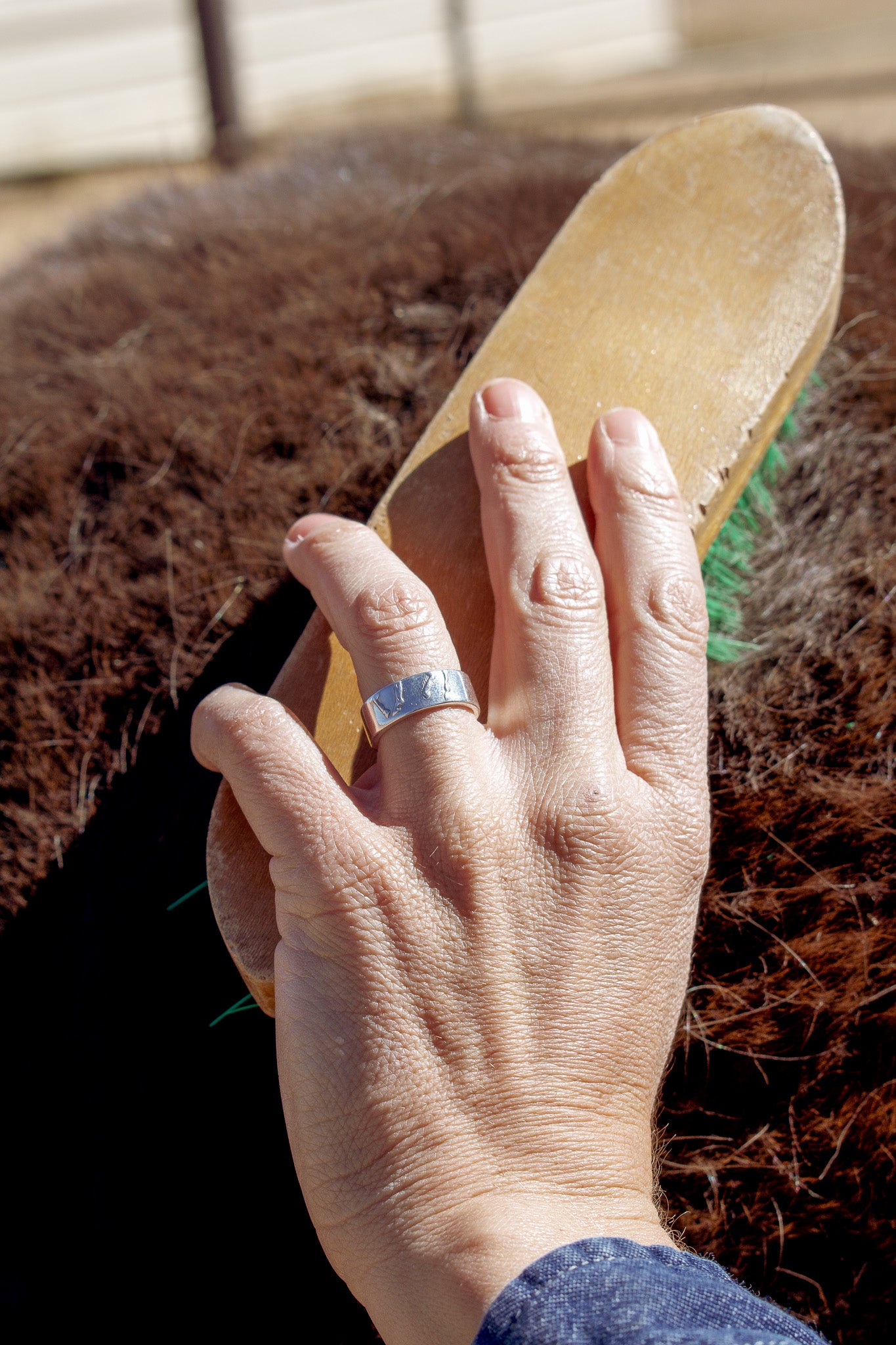 Model brushing a furry horse while wearing the sterling silver piaff band