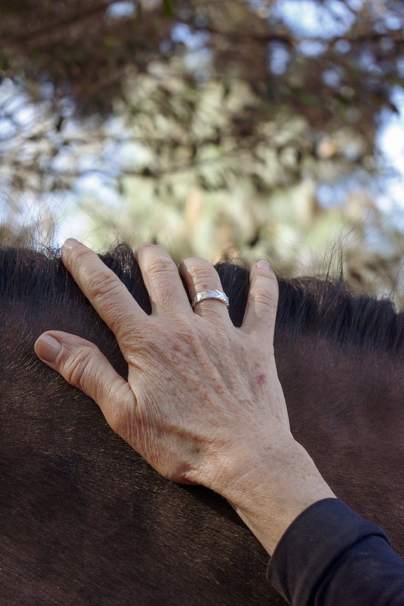 model hand on horse's mane while wearing the sterling silver reigns ring